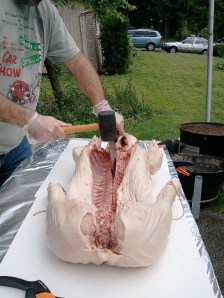 Continuing to Split the Spine