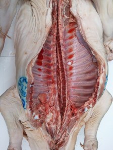 After the First Pass Split