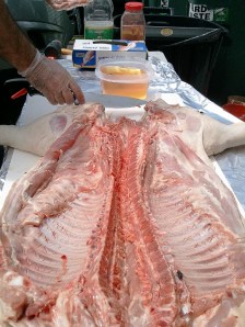 All Prepped and Ready to Inject