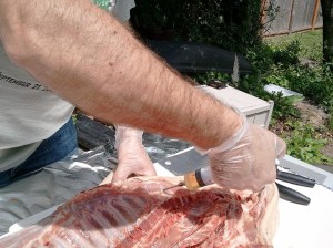 Injecting the Shoulder