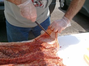 Pulling the Skin Away from the Ham