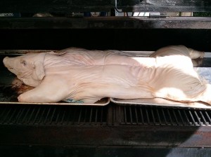 The Pig in the Smoker